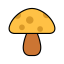 Mushroom Icon, mushroom,fungus,food
