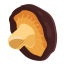 Dried Mushroom Icon, dried,mushroom