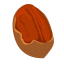 Pecan Icon, nut,pecan