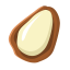 Pine Nut Icon, pine nut,nut