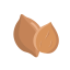 Almond Icon, almond,nut