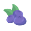 Dried Blueberry Icon, dried blueberry,fruit