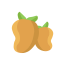 Dried Mango Icon, dried mango,fruit
