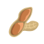 Peanut Icon, nut,peanut