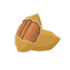 Pecan Icon, nut,pecan