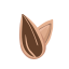 Sunflower Seed Icon, seed,sunflower seed