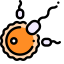 Fertilization Icon, fertilization,pregnancy