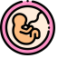 Fetus Icon, fetus,pregnancy