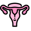 Uterus Icon, uterus,reproductive