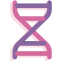 DNA Icon, DNA,genetics,science
