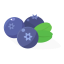 Blueberries Icon, blueberry,fruit