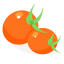 Cherry Tomatoes Icon, fruit,tomato