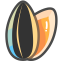 Sunflower Seeds Icon, sunflower seeds,nut