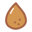 Apricot Kernel Icon, apricot kernel,nut