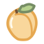 Dried Apricot Icon, dried apricot,dried fruit