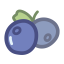 Dried Blueberry Icon, dried blueberry,dried fruit