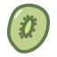 Dried Kiwi Icon, dried kiwi,dried fruit