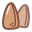 Pine Nut Icon, pine nut,nut