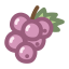 Raisin Icon, raisin,dried fruit