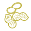Peanut Icon, nut,peanut