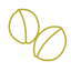 Walnut Icon, walnut,nut