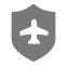 Flight Security Icon, flight,security,travel