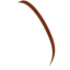 Pine Nut Icon, pine nut,nut