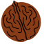 Walnut Icon, nut,walnut