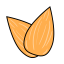Almond (Badam) Icon, almond,nut