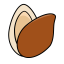 Pine Nut Icon, pine nut,nut