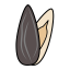 Sunflower Seed Icon, snack,sunflower seed