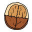 Walnut Icon, nut,walnut