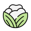 Cauliflower Icon, cauliflower,vegetable
