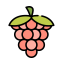 Grapes Icon, grapes,fruit