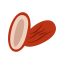 Dried Date Icon, date,dried date,snack