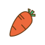 Eating Vegetables Icon, eating vegetables,carrot,nutrition