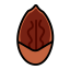 Pecan Icon, nut,pecan