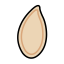 Pumpkin Seed Icon, nut,pumpkin seed