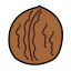 Walnut Icon, nut,walnut
