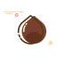 Chestnut Icon, chestnut,nut