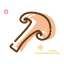 Dried Mushroom Icon, dried mushroom,dried food