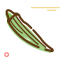 Dried Okra Icon, dried okra,dried food