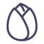 Pistachio Icon, pistachio,nut