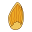 Almond Icon, almond,nut