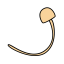 Enoki Mushroom Icon, enoki mushroom,vegetable