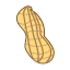 Peanut Icon, nut,peanut