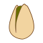 Pistachio Icon, nut,pistachio