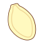 Pumpkin Seed Icon, pumpkin seed,snack