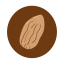Almond Icon, almond,nut,snack