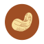 Charcoal - Roasted Cashew Icon, cashew,charcoal - roasted cashew,snack